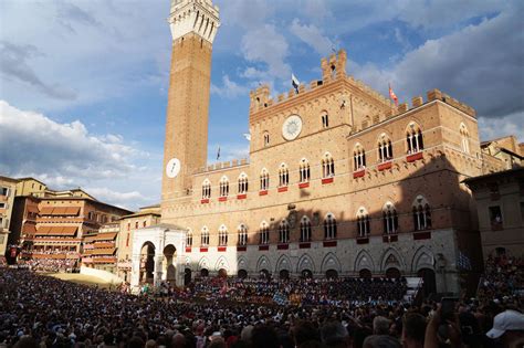 siena fedelimmi.